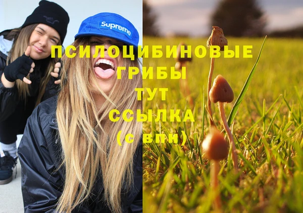 молекула духа Верея