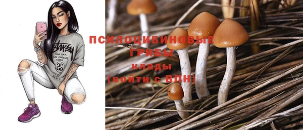 mdpv Верхний Тагил