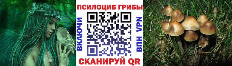 закладки  Кемь  Галлюциногенные грибы мицелий 